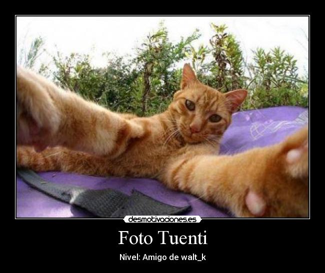 carteles tuenti sixto1997 desmotivaciones