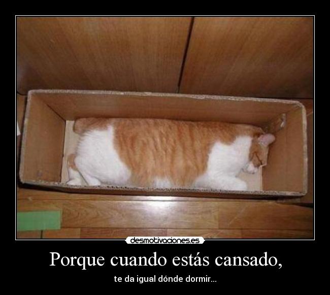 Porque cuando estás cansado, - te da igual dónde dormir...