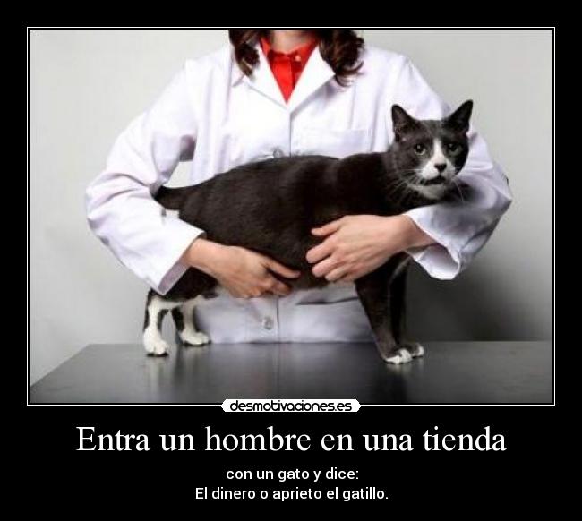 Entra un hombre en una tienda - con un gato y dice:
El dinero o aprieto el gatillo.