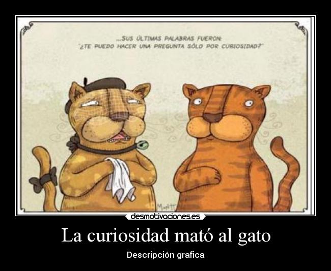 La curiosidad mató al gato -