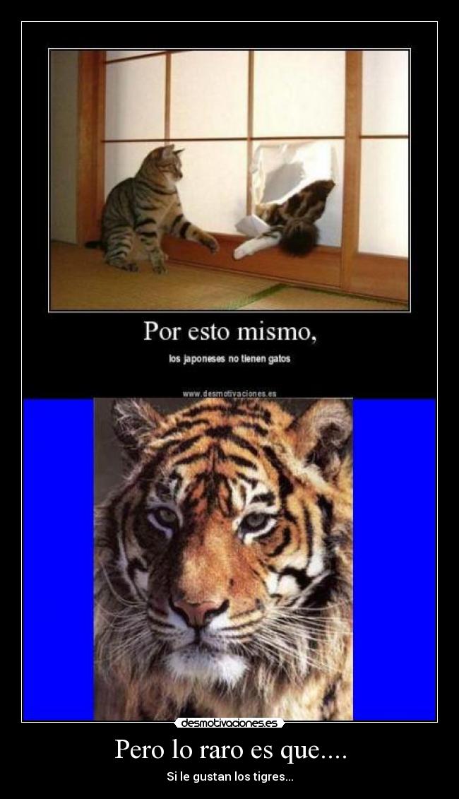 Pero lo raro es que.... - Si le gustan los tigres...