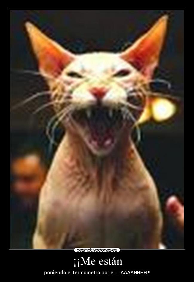 ¡¡Me están -