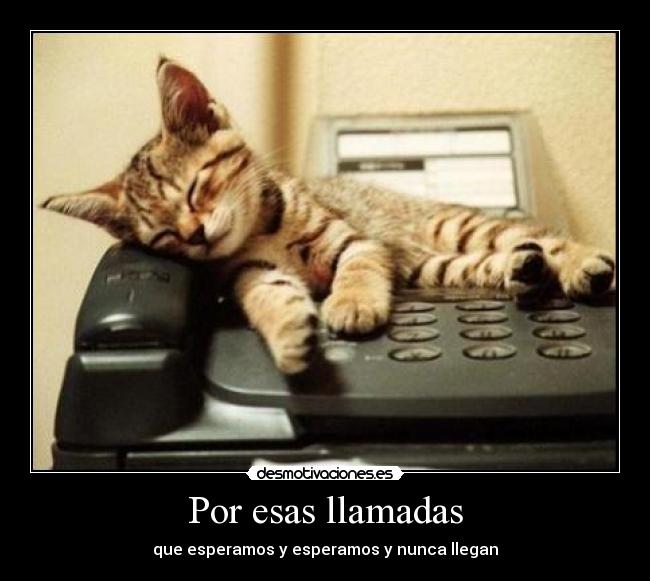 carteles llamada esperar telefono desmotivaciones