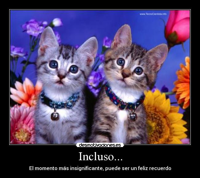 Incluso... - 