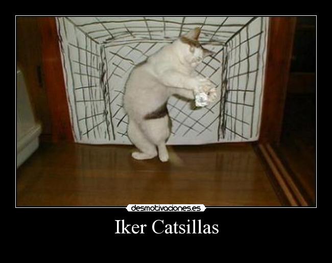 Iker Catsillas - 