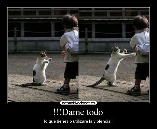 !!!Dame todo - lo que tienes o utilizare la violencia!!!