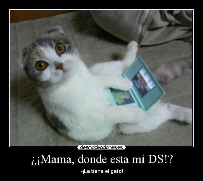 ¿¡Mama, donde esta mi DS!? -