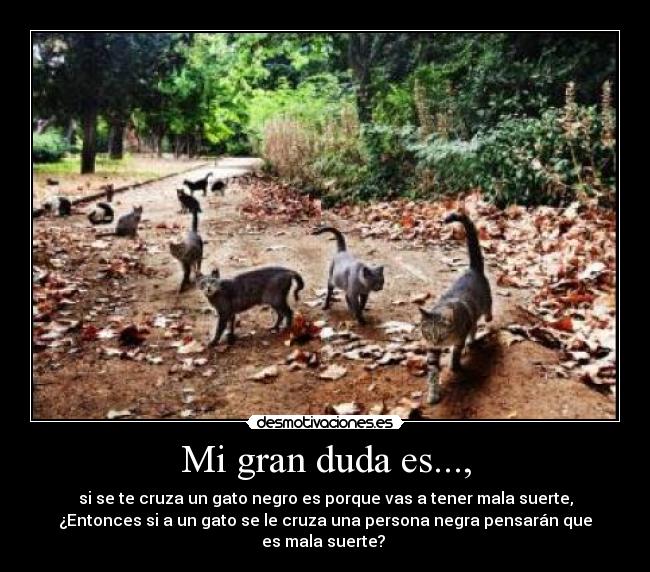 Mi gran duda es..., -