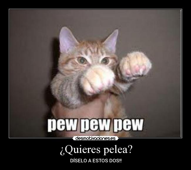 ¿Quieres pelea? -