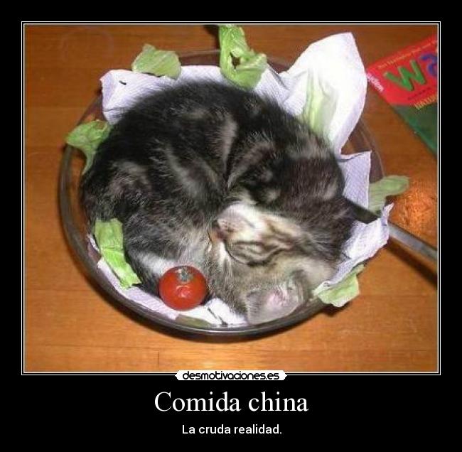 Comida china - La cruda realidad.