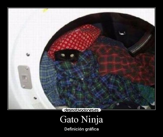 Gato Ninja - Definición gráfica