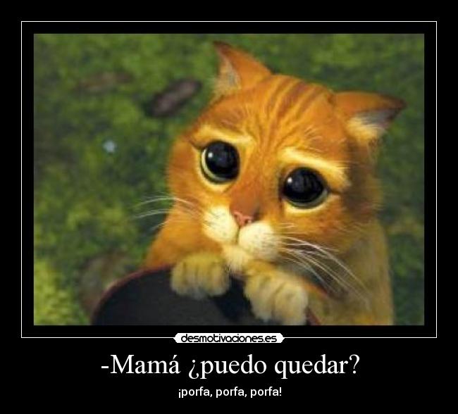 -Mamá ¿puedo quedar? -