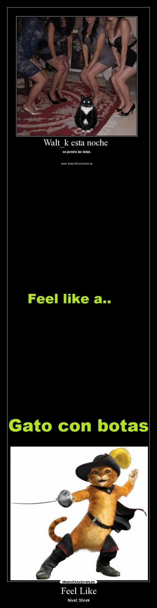 Feel Like - Nivel: Shrek