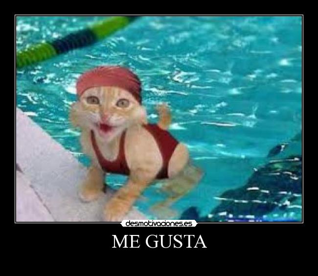 ME GUSTA -