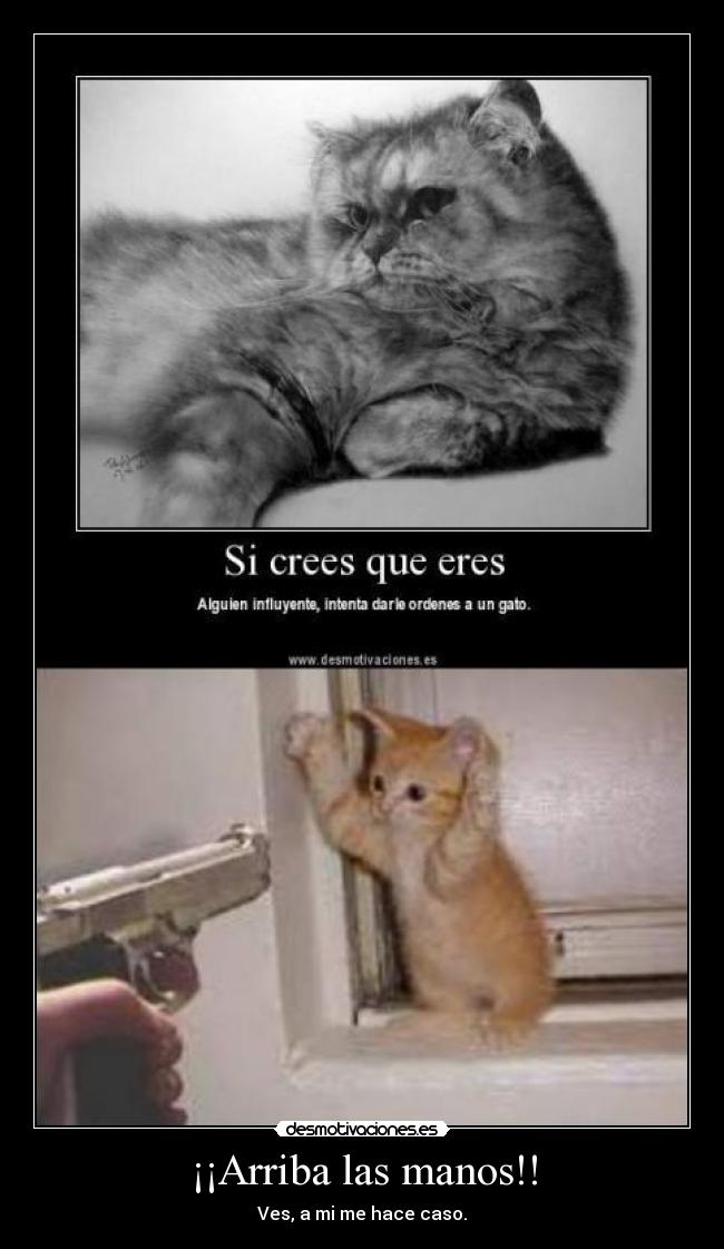 ¡¡Arriba las manos!! - Ves, a mi me hace caso.