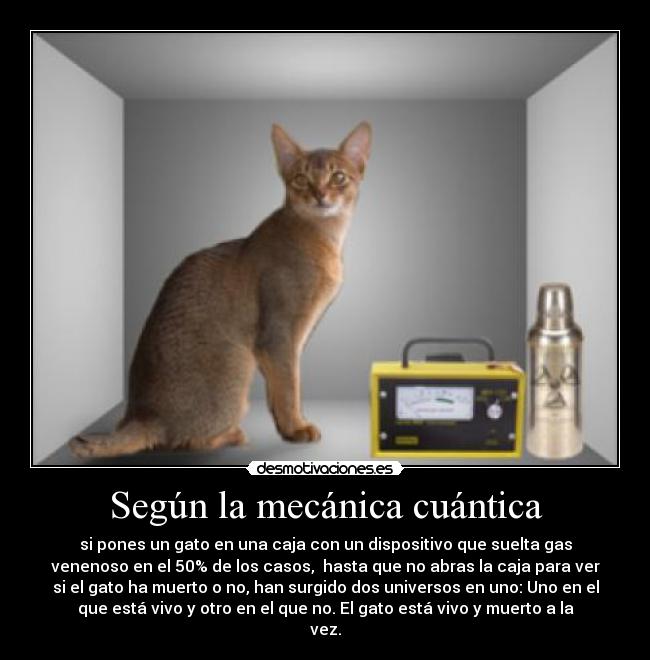 Según la mecánica cuántica - si pones un gato en una caja con un dispositivo que suelta gas
venenoso en el 50% de los casos,  hasta que no abras la caja para ver
si el gato ha muerto o no, han surgido dos universos en uno: Uno en el
que está vivo y otro en el que no. El gato está vivo y muerto a la
vez.