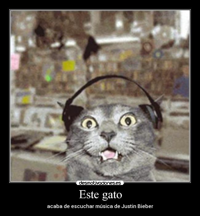 Este gato - acaba de escuchar música de Justin Bieber
