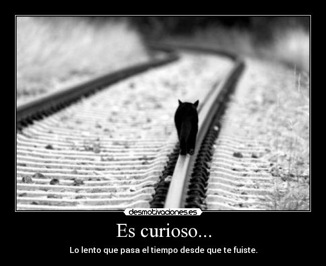 Es curioso... - 