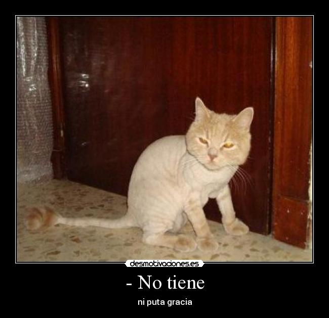 - No tiene - ni puta gracia