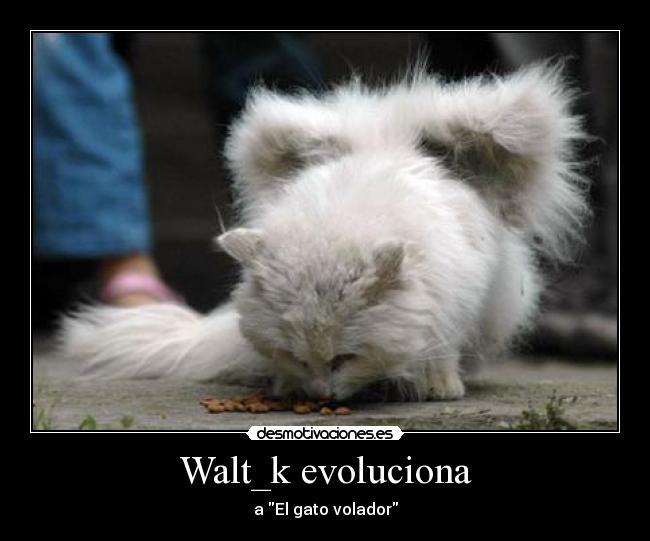 Walt_k evoluciona - a El gato volador