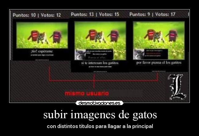 subir imagenes de gatos - 