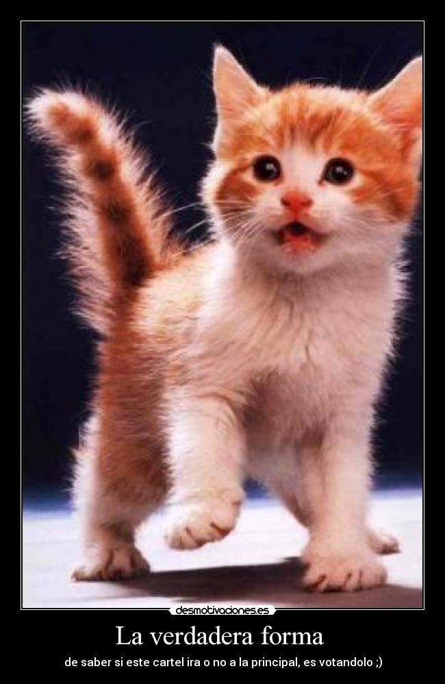 carteles desmotivaciones