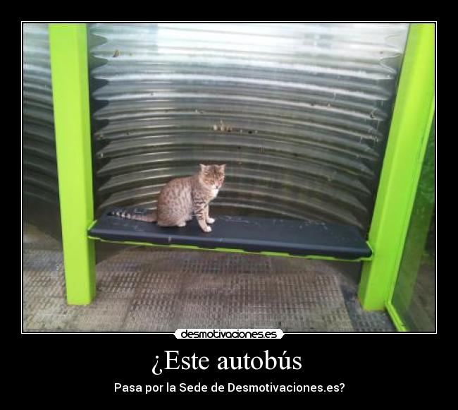 ¿Este autobús  - Pasa por la Sede de Desmotivaciones.es?