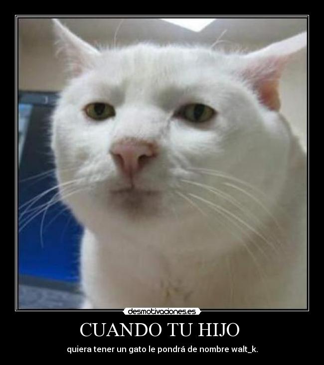 CUANDO TU HIJO - quiera tener un gato le pondrá de nombre walt_k.