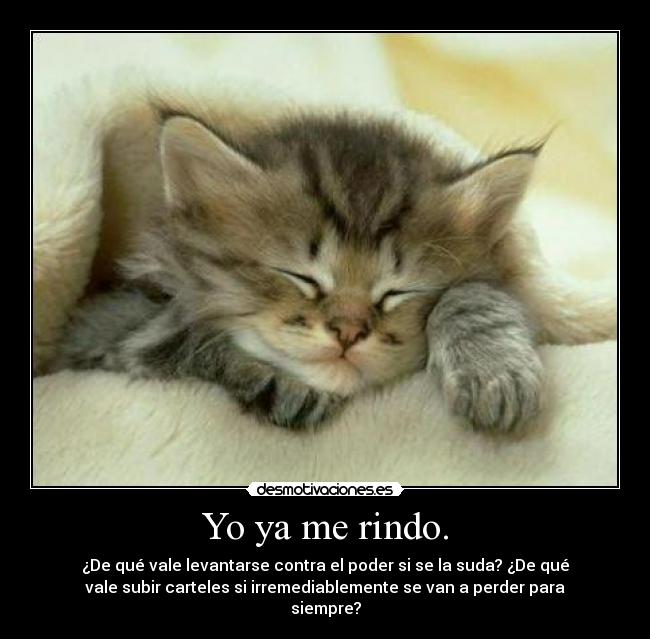 Yo ya me rindo. -