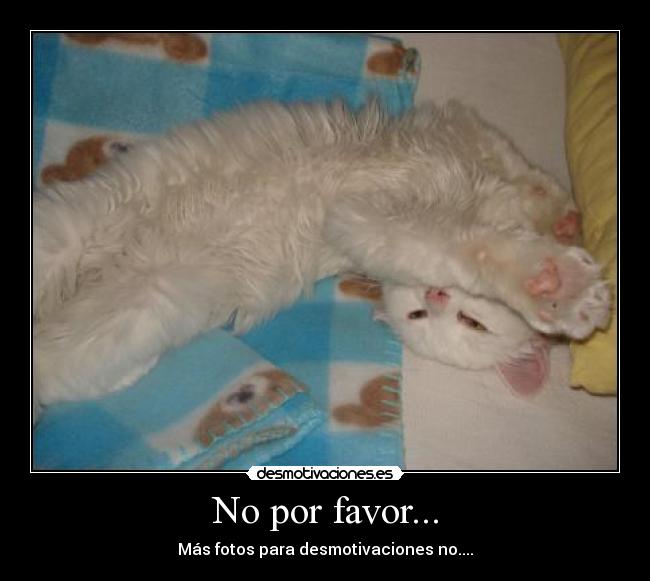 No por favor... - Más fotos para desmotivaciones no....