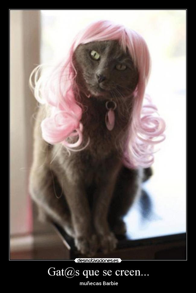 carteles lokiel desmotivaciones