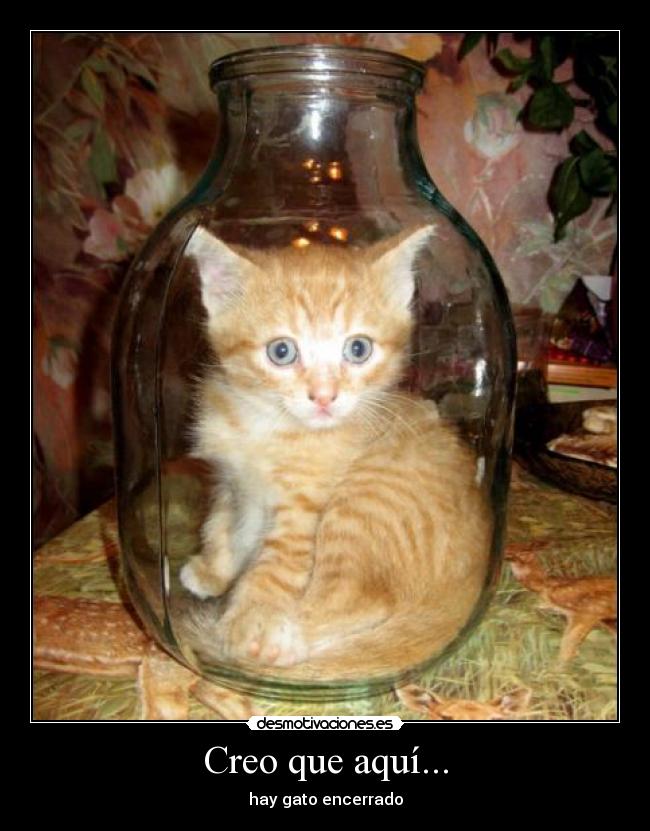 Creo que aquí... - hay gato encerrado