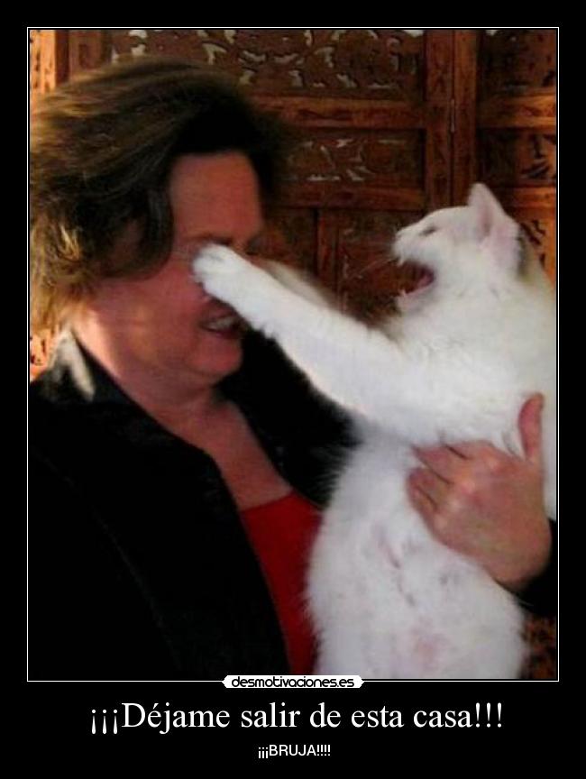 ¡¡¡Déjame salir de esta casa!!! - ¡¡¡BRUJA!!!!