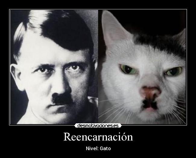 Reencarnación -