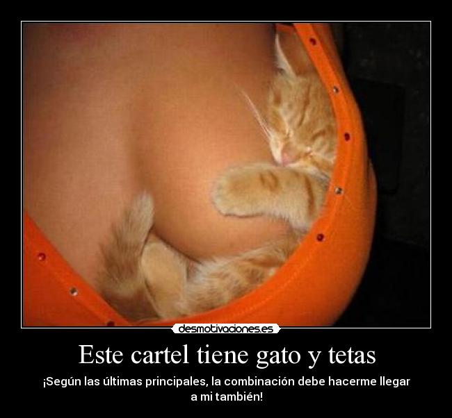 Este cartel tiene gato y tetas - ¡Según las últimas principales, la combinación debe hacerme llegar a mi también!