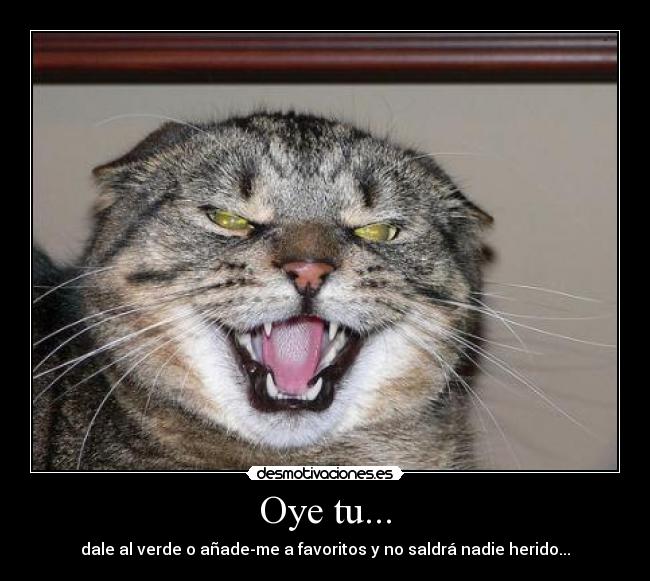 Oye tu... - 