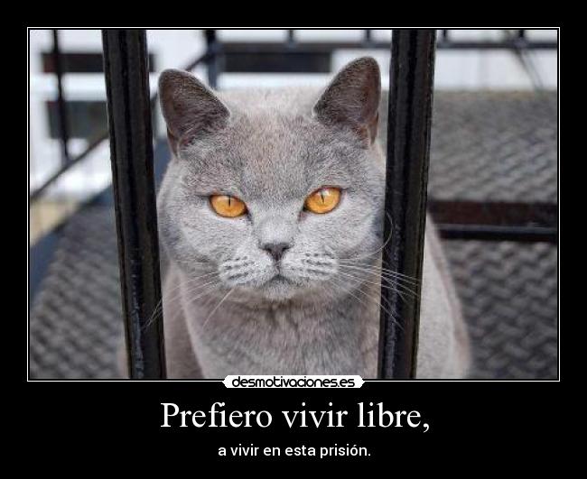 Prefiero vivir libre, - a vivir en esta prisión.