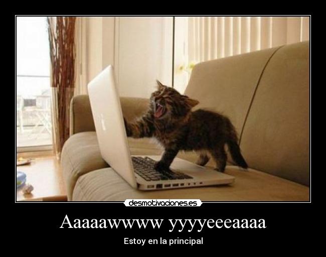 Aaaaawwww yyyyeeeaaaa - 