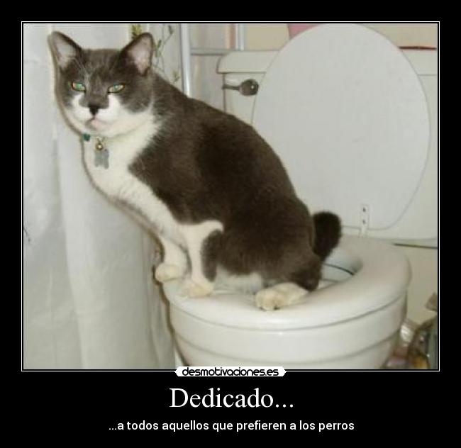 Dedicado... - ...a todos aquellos que prefieren a los perros