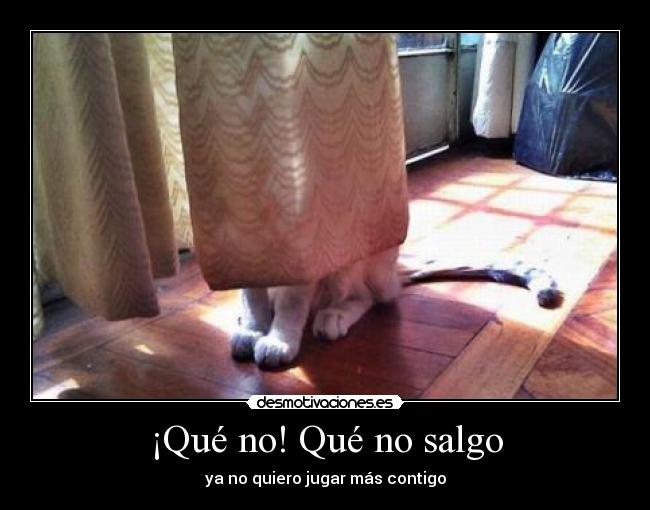 carteles que que salgo desmotivaciones