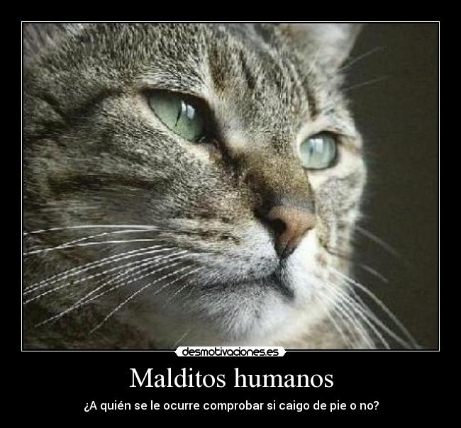 Malditos humanos -
