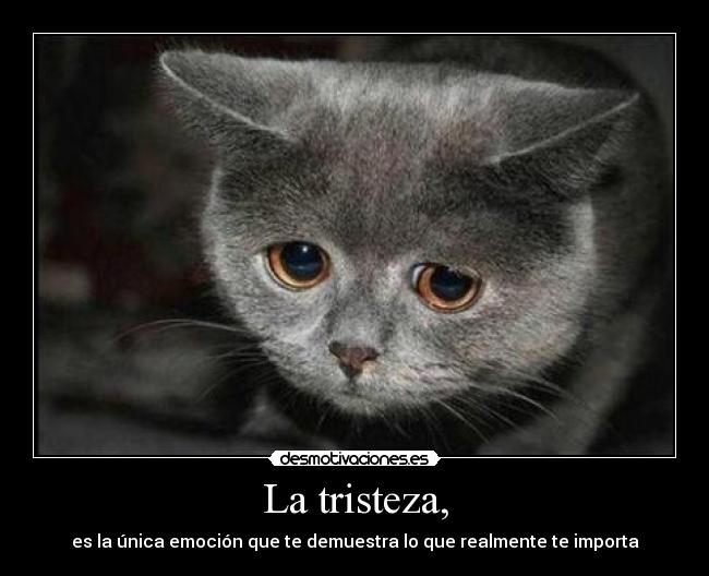 La tristeza, -