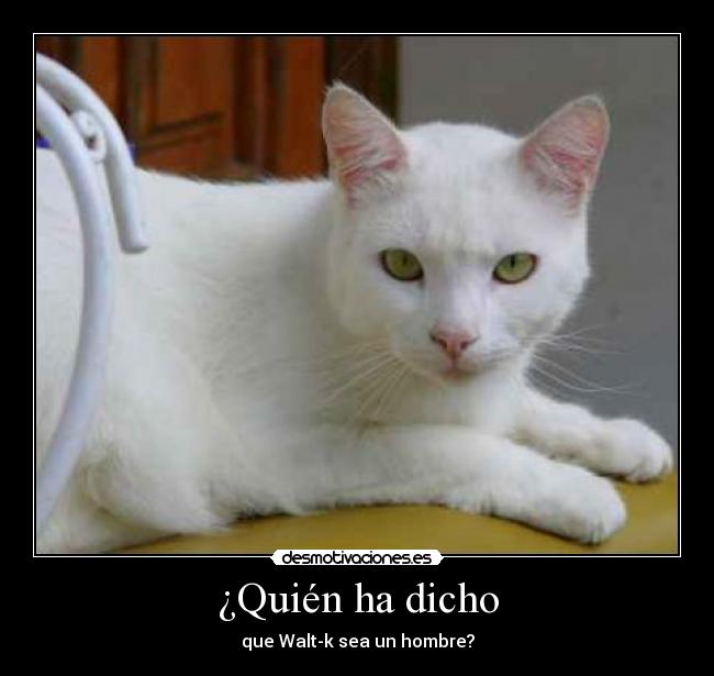 ¿Quién ha dicho - que Walt-k sea un hombre?