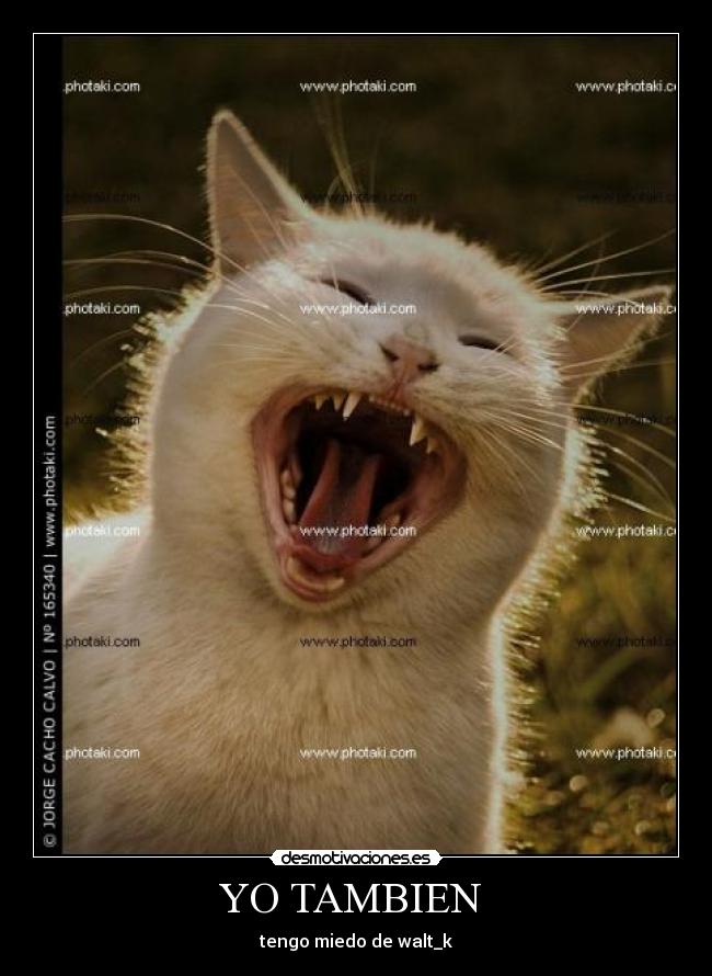 YO TAMBIEN - tengo miedo de walt_k