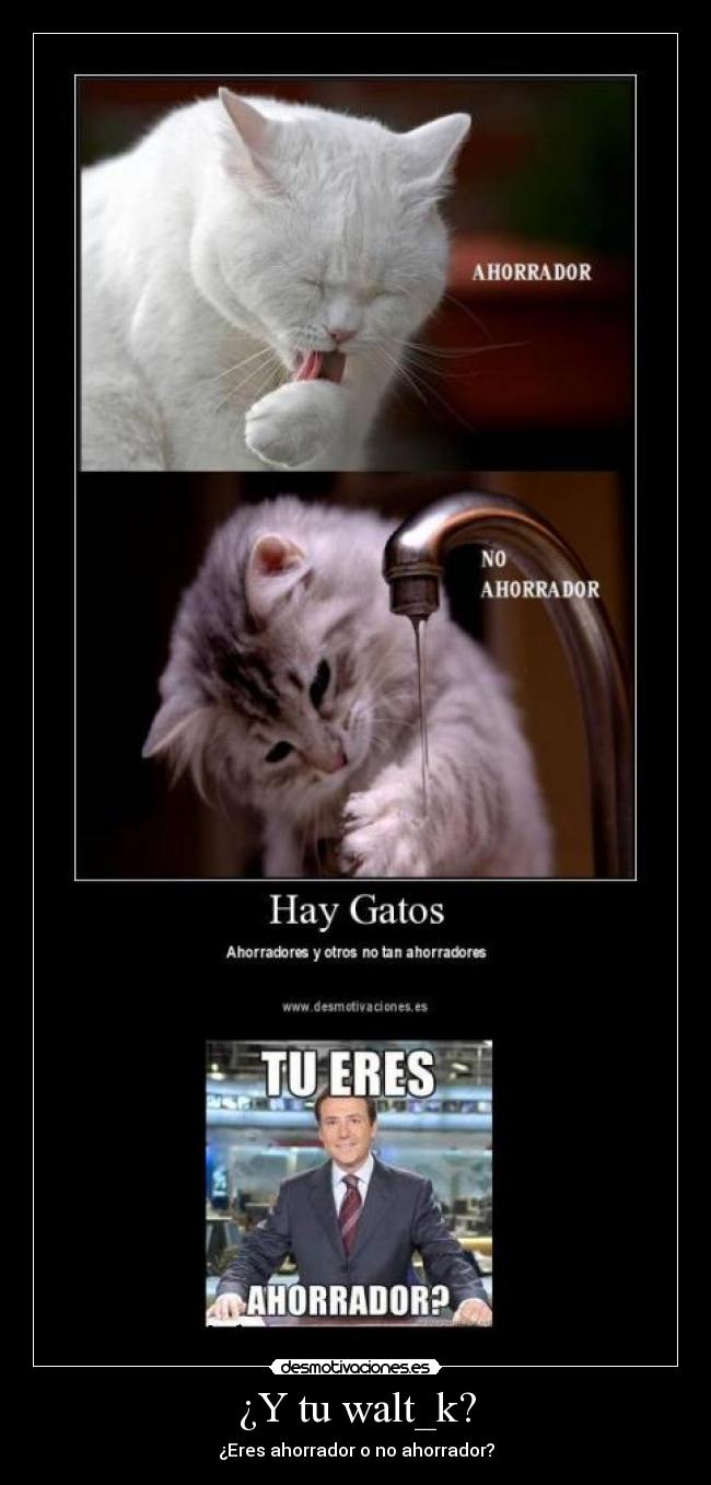 ¿Y tu walt_k? - ¿Eres ahorrador o no ahorrador?