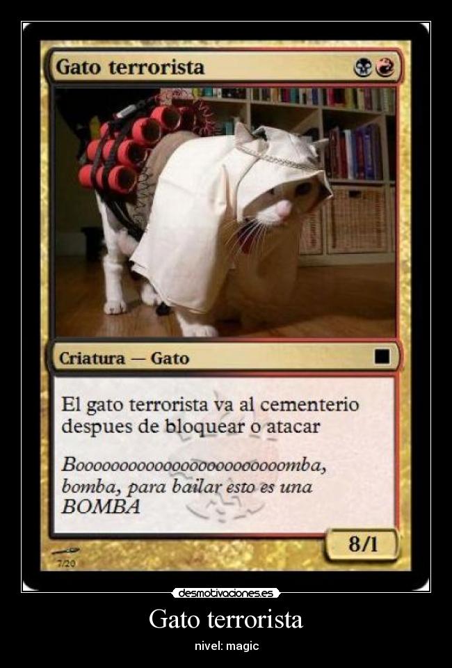 Gato terrorista - nivel: magic