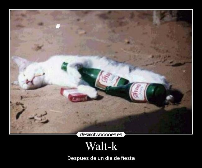 Walt-k - Despues de un dia de fiesta