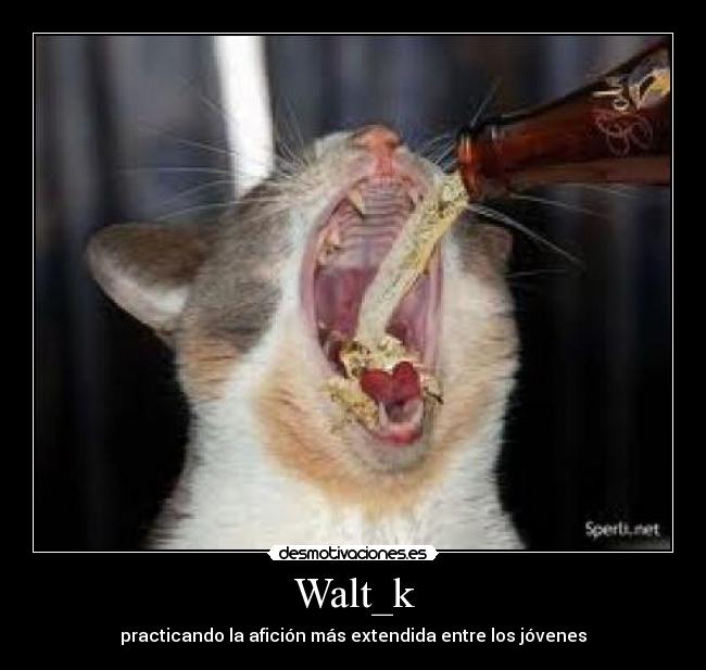 Walt_k - practicando la afición más extendida entre los jóvenes