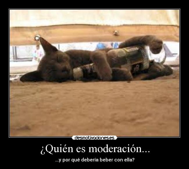 ¿Quién es moderación... - 