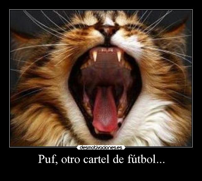 Puf, otro cartel de fútbol... - 